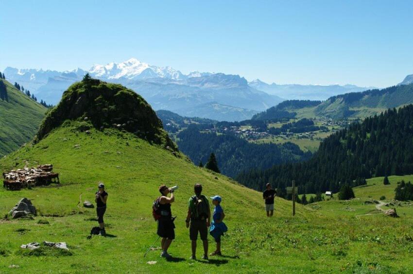 Studio Cabine Praz De Lys Тананж Екстериор снимка