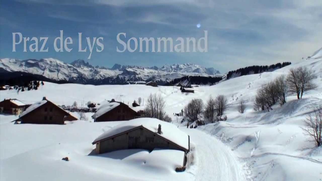 Studio Cabine Praz De Lys Тананж Екстериор снимка