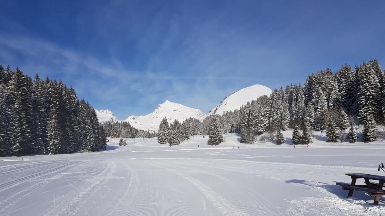 Studio Cabine Praz De Lys Тананж Екстериор снимка