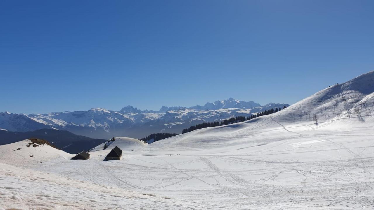 Studio Cabine Praz De Lys Тананж Екстериор снимка