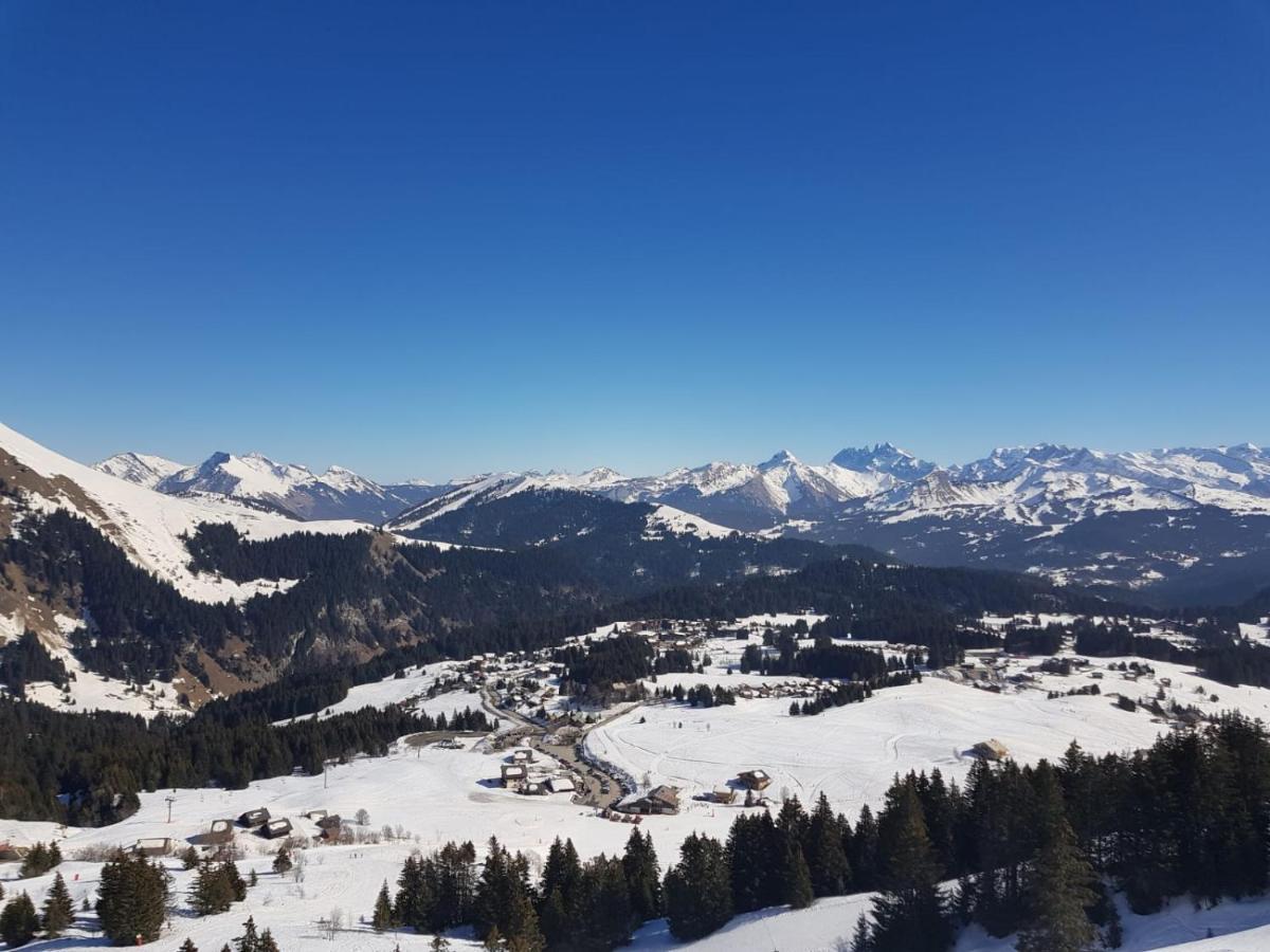Studio Cabine Praz De Lys Тананж Екстериор снимка