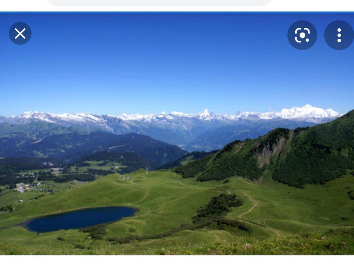 Studio Cabine Praz De Lys Тананж Екстериор снимка