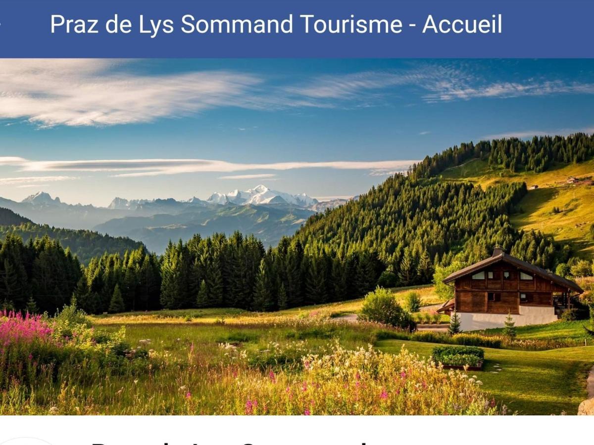 Studio Cabine Praz De Lys Тананж Екстериор снимка